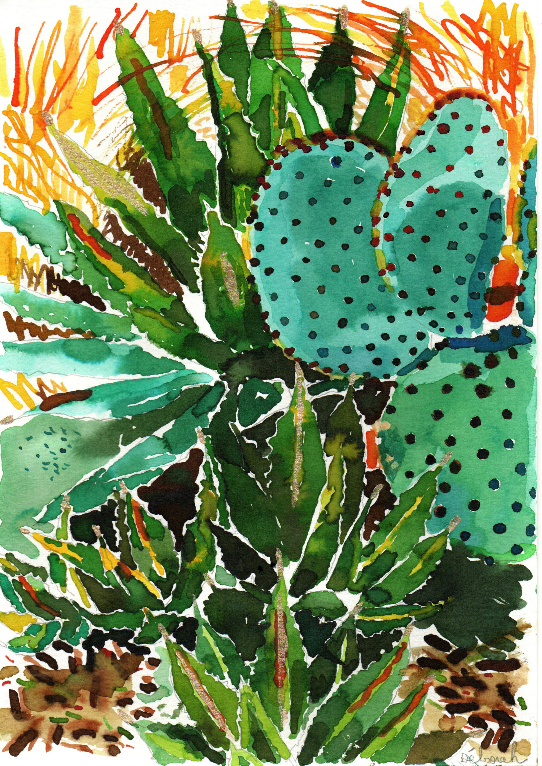 "Cactus zoom" impression – Image 2