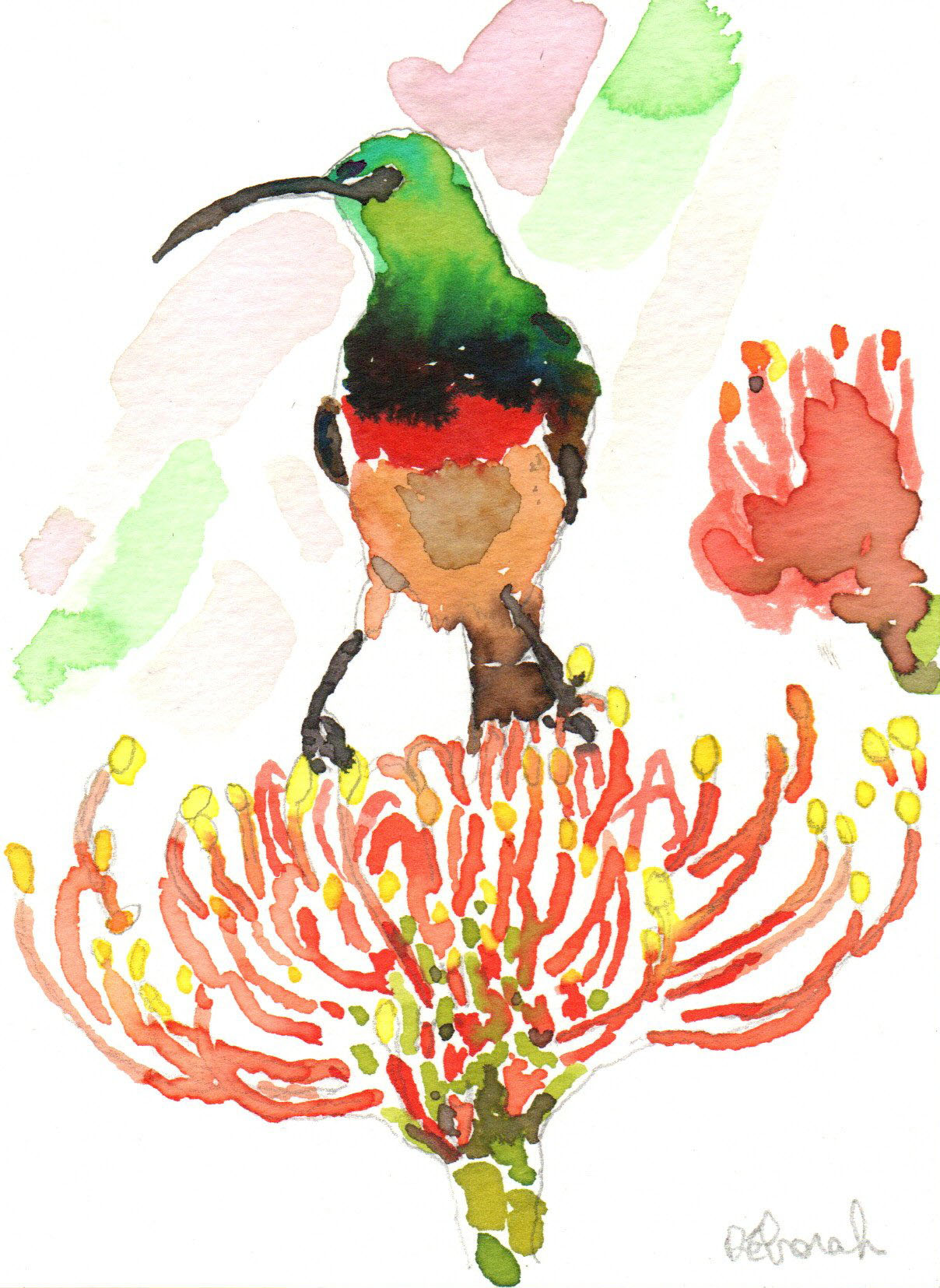 vendu - dessin "colibri "encore perché" – Image 2