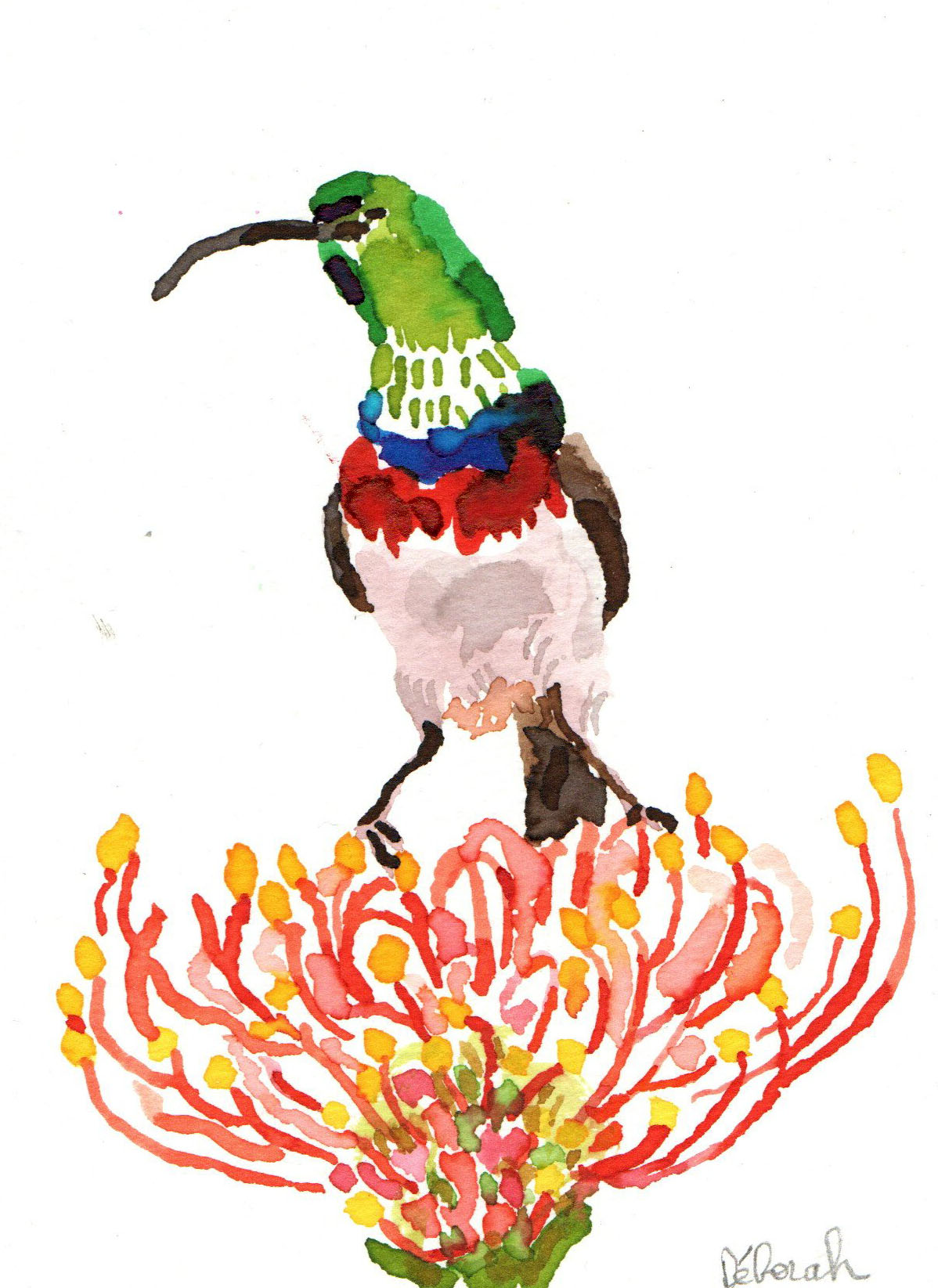 vendu - Dessin "colibri perché" – Image 2