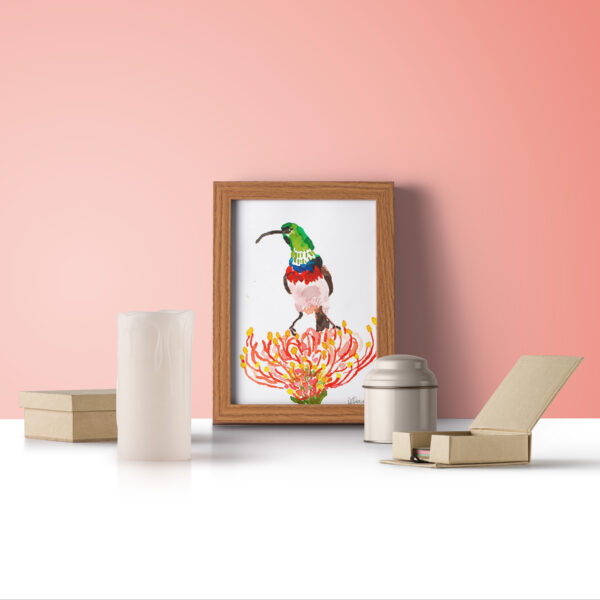 vendu - Dessin "colibri perché"