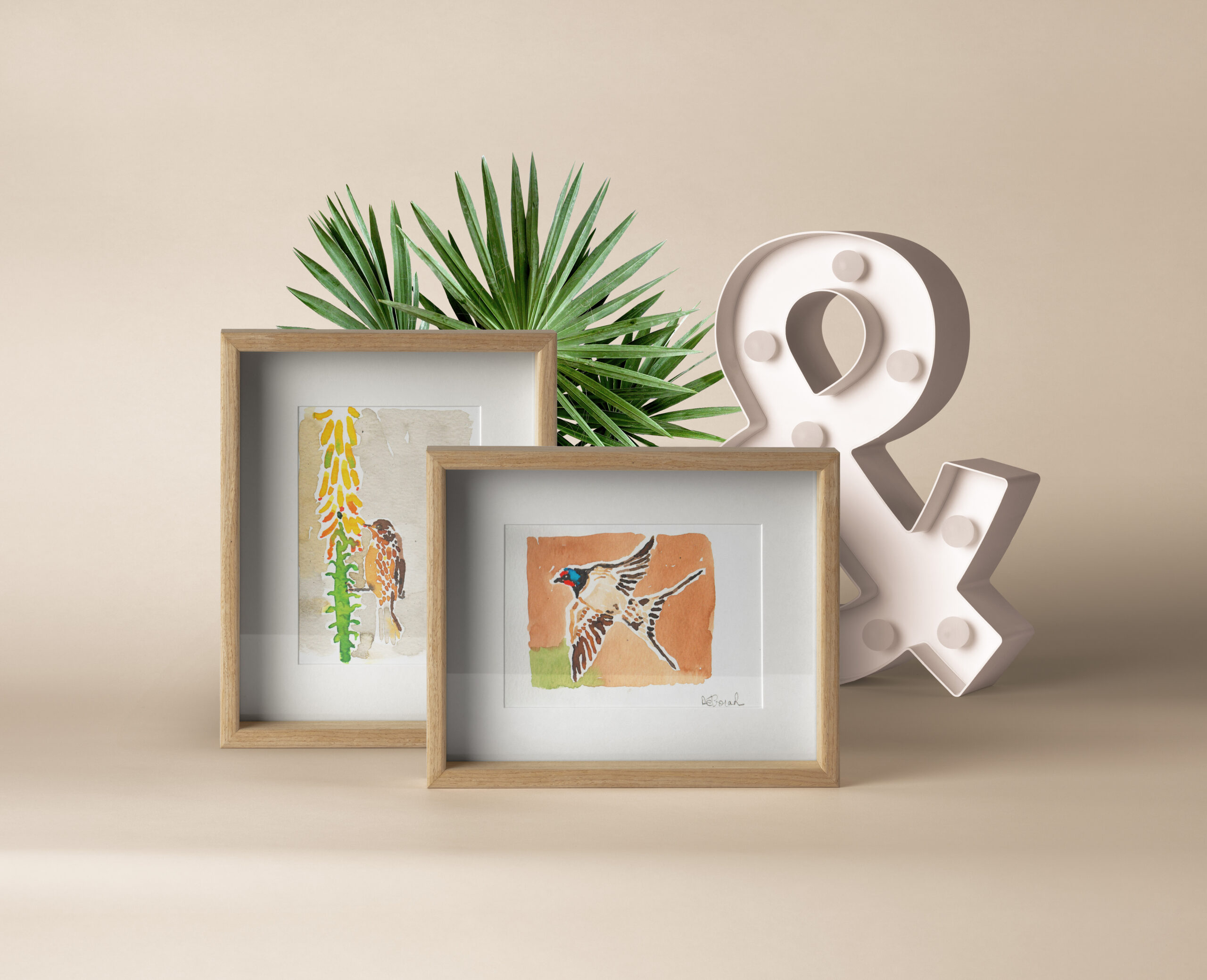 Deux dessins "hirondelle" et "pouillot des Andes"