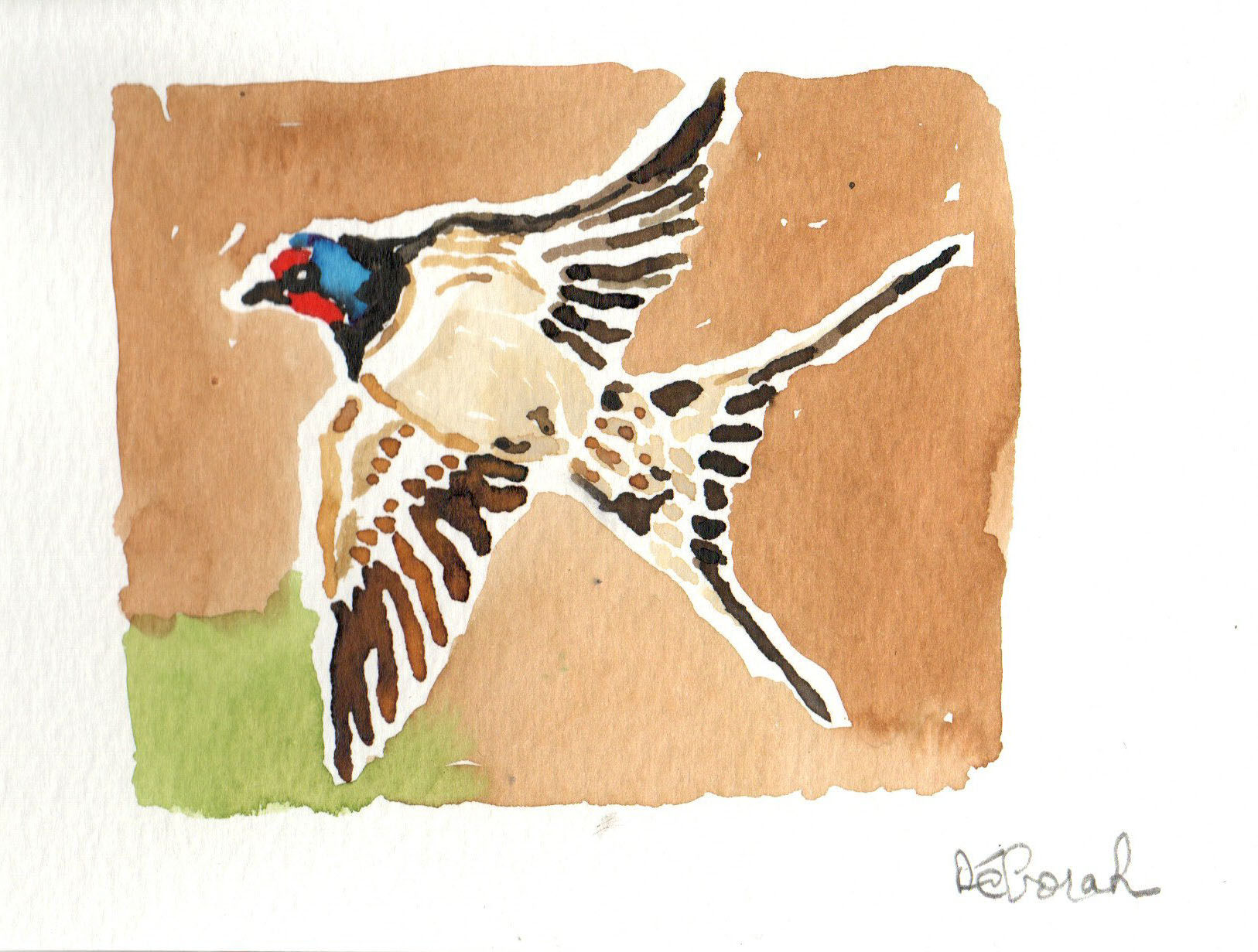 Deux dessins "hirondelle" et "pouillot des Andes" – Image 2