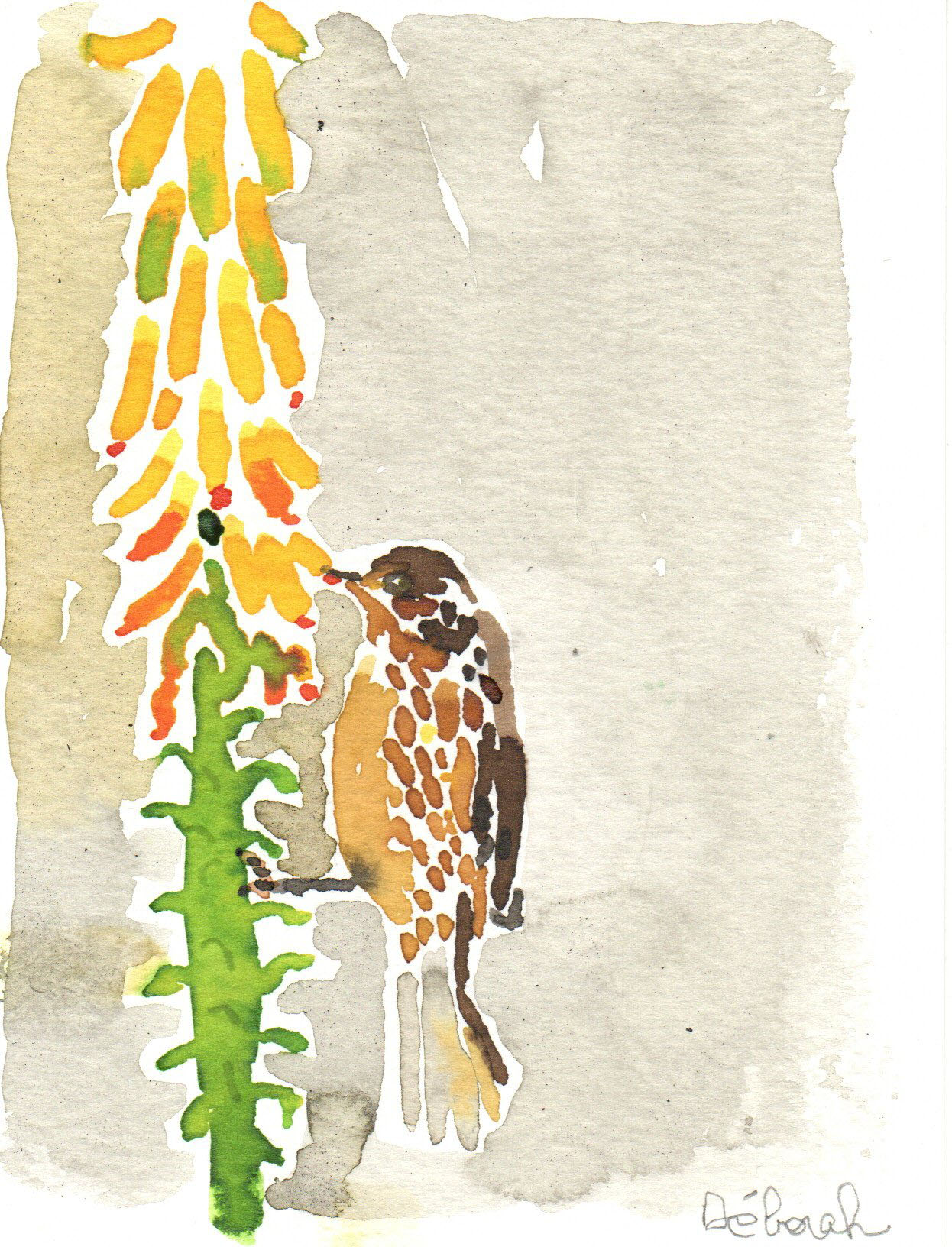 Deux dessins "hirondelle" et "pouillot des Andes" – Image 3