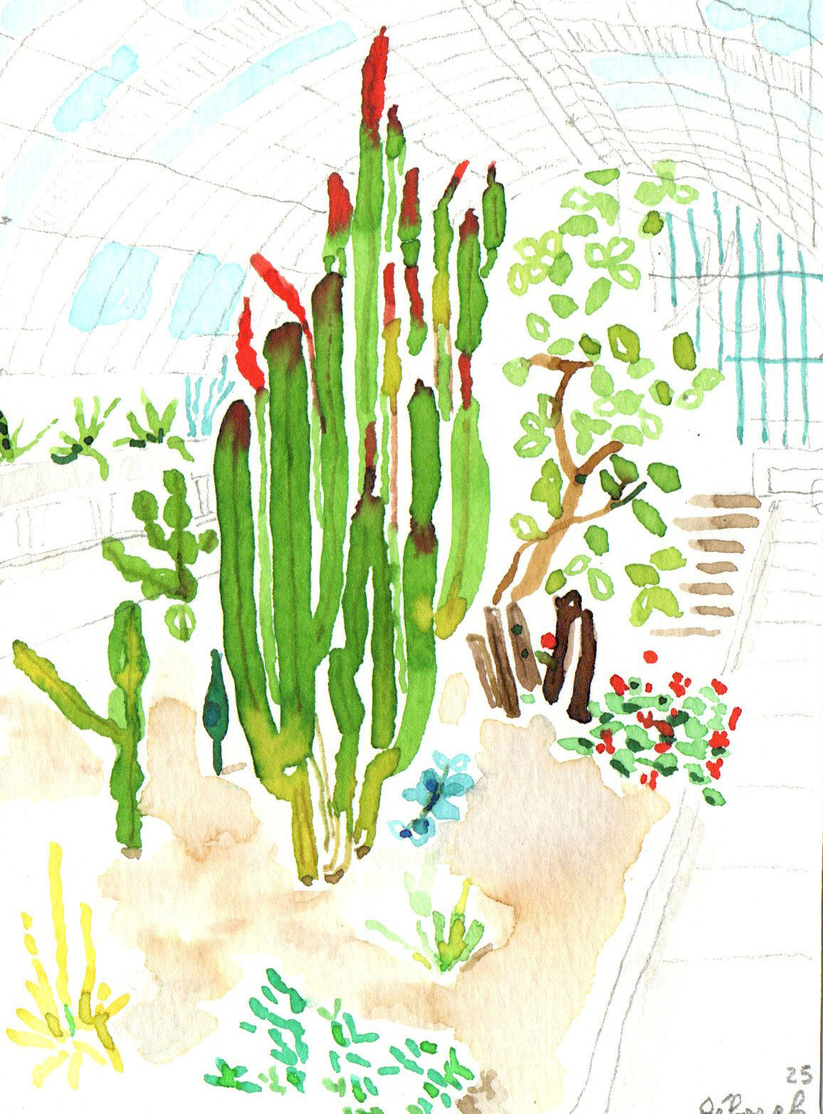 petit voyage sous la serre 2 – Image 2