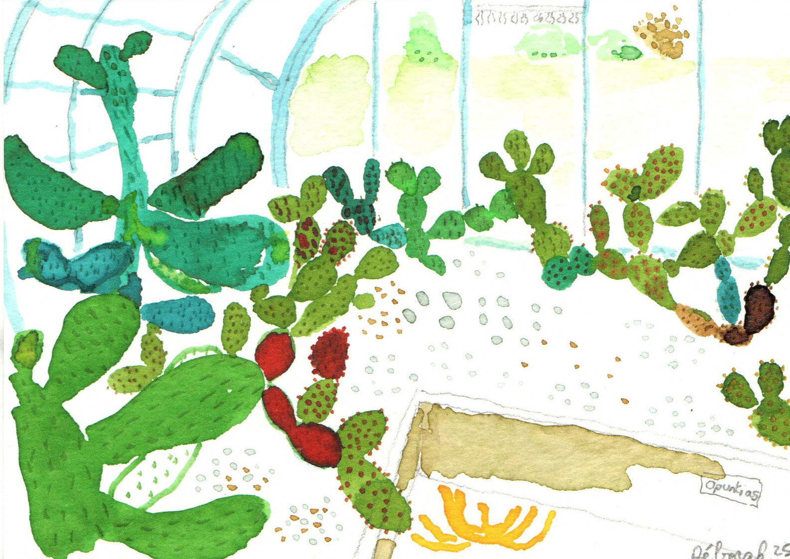 petit voyage sous la serre 2 – Image 4