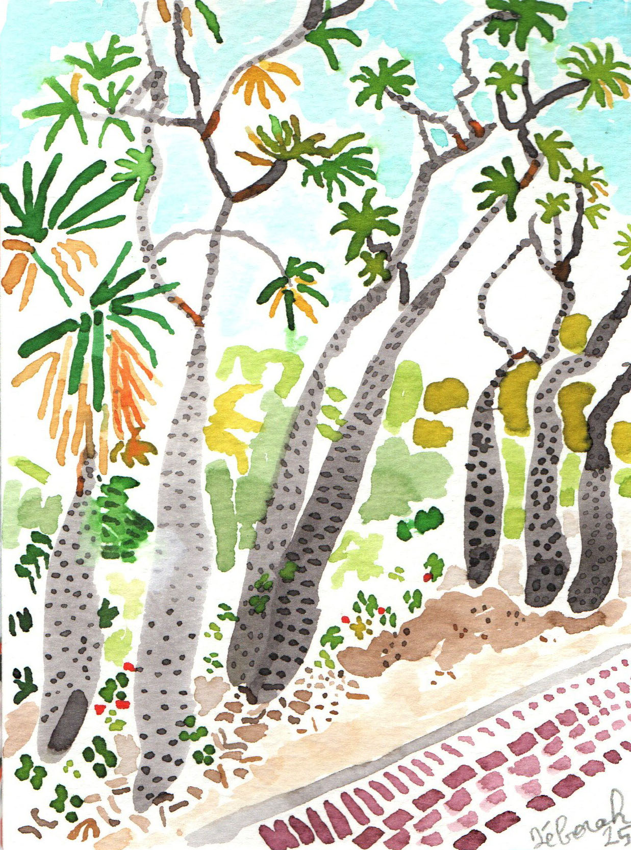 Dessin "sept arbres à ein gedi" – Image 2